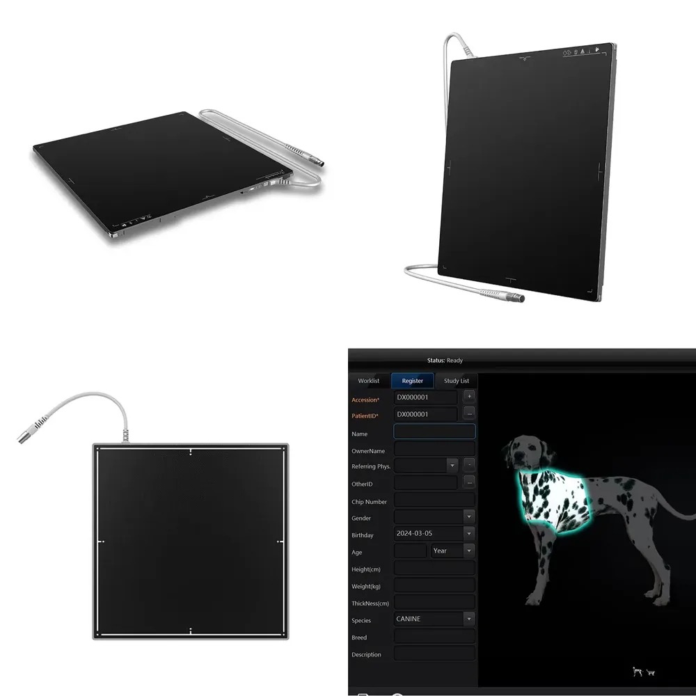 Tech Accessories Brands - 핫세일 1717인치 AEC 테크 카레이 브랜드
