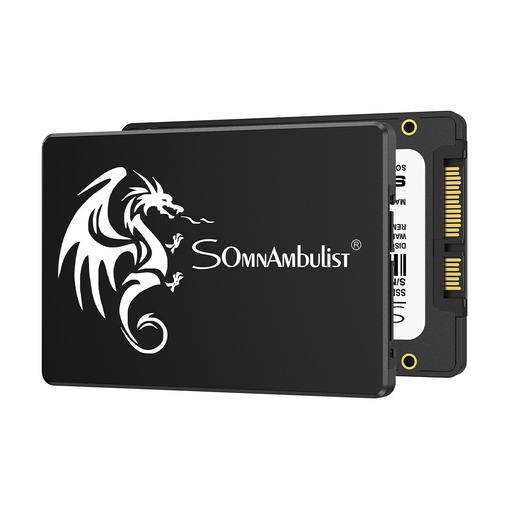 SomnAmbulist SSD 120GB 240GB 4 - Samsung Ssd Evo 870 리뷰 및 가격